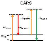 CARS (Coherent Antistokes Raman Scattering)