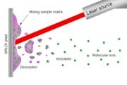 MALDI (Matrix Assisted Laser Desorption/Ionisation)